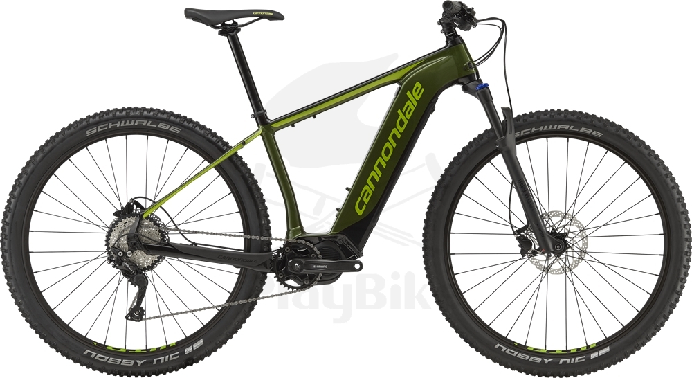 cannondale trail neo 2 2019